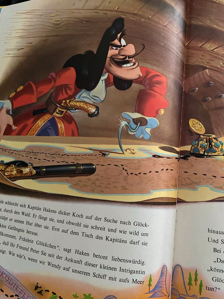 Peter Pan Buch 1971 Walt Disney Delphin Verlag in München