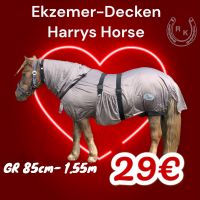1256 Fliegendecke Ekzemer HARRYS HORSE Gr. 95 bis 155cm ANGEBOT Rheinland-Pfalz - Kirchwald Vorschau
