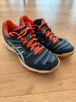 ASICS Gel Beyond Gr. 40,5 Hallen Volleyballschuhe Sachsen-Anhalt - Magdeburg Vorschau