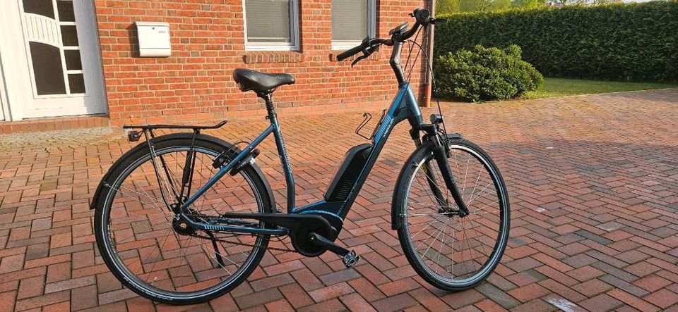 E-Bike Kreidler Vitality Eco 6 | nur 107,5 km gelaufen in Apen