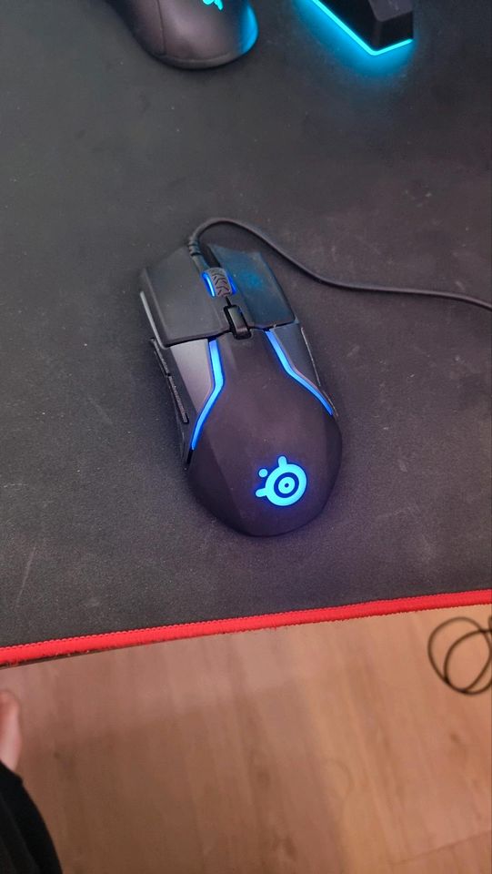 Steelseries Rival 600 in Viechtach