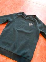 Palomino ❤️ Fleece Pullover Gr. 122 Nordwestmecklenburg - Landkreis - Rehna Vorschau