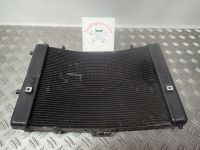 Kühler Wasserkühler Water Cooler Radiator KTM 1290 Adventure 2018 Bayern - Mantel Vorschau