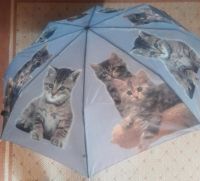 Happy Rain Taschenregenschirm Baby Cats grau Neu Hessen - Hünfelden Vorschau