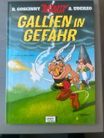 Luxusedition Asterix Gallien in Gefahr Band 33 Baden-Württemberg - Lörrach Vorschau