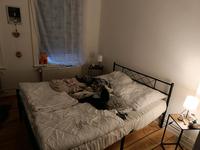 Stahl-Bett 140x200 mit Lattenrost und Matratzen Altona - Hamburg Altona-Nord Vorschau
