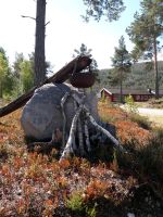 Brennholz gegen Aufsitzmäher, Rasentraktor Bayern - Kaufbeuren Vorschau