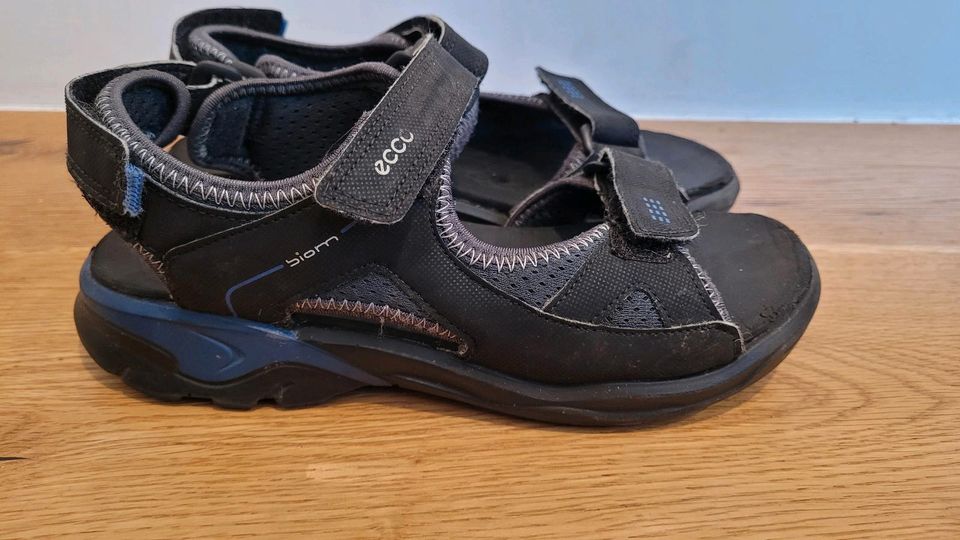 Ecco Biom Sandalen  schwarz Gr.34 in Oldenburg