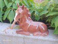 Porzellan Sammler Figur Pferd Thüringen - Unterwellenborn Vorschau
