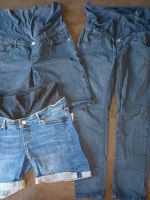Umstandshose Jeans Shorts 36 38 ESPRIT H&M Nordrhein-Westfalen - Bornheim Vorschau