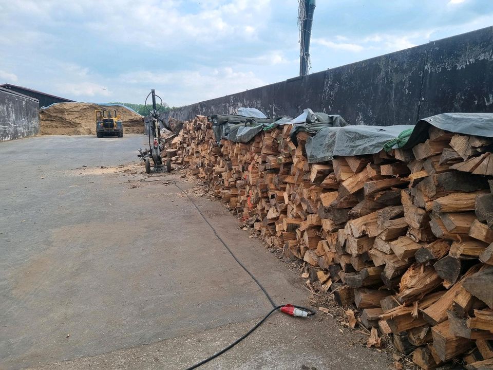 Raummeter verkaufen buche und esche Brennholz vorgetrocktnet in Delbrück