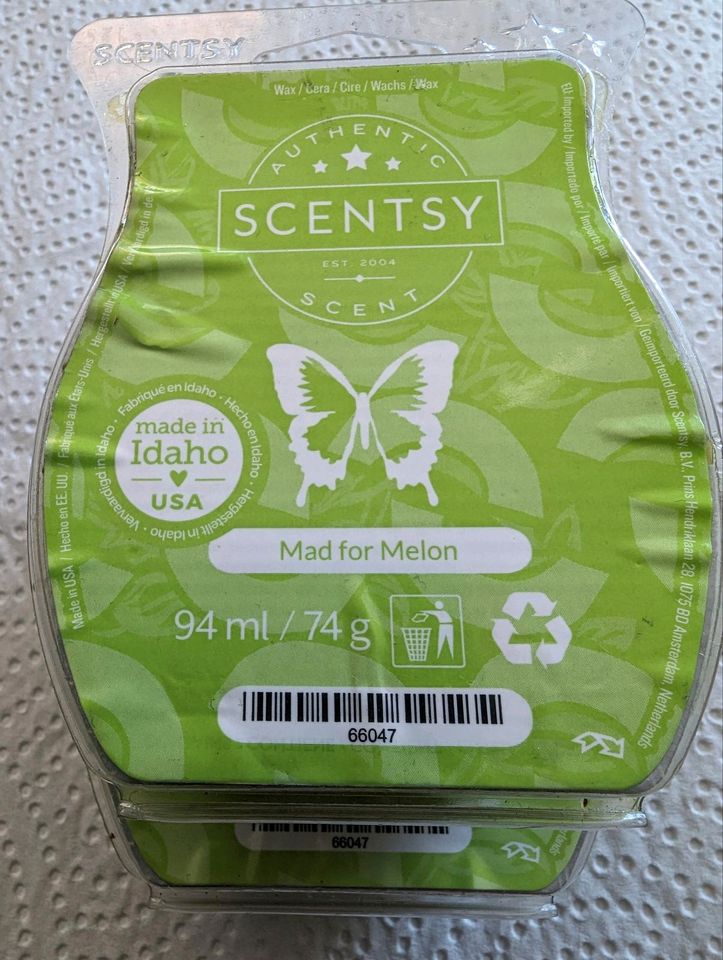 verschiedene Scentsy Bars (voll) in Kastl