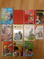 Pferdebücher Abenteuerbücher, Mädchenbücher,  Bücher, Buch Bayern - Langfurth Vorschau