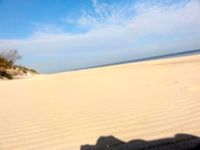 Ostsee-Polen-Sommerhäuser: "Albatros - Ferienhaus am Strand" Mitte - Tiergarten Vorschau