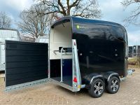 Pferdeanhänger Careliner L Tür/Rampe Panorama Fenster Sattelkamer Niedersachsen - Stelle Vorschau