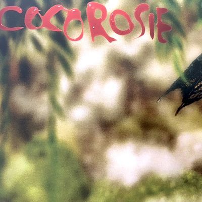 CocoRosie / The Adventures Of Ghosthorse And Stillborn LP, NM! in Angermünde