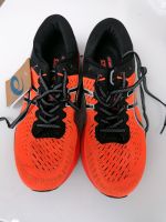 Asics Gel kayano 40,5 neu Rheinland-Pfalz - Elmstein Vorschau