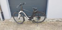 E-Bike Pegasus - Herrenrad - Bosch Motor CX 85 Nm / Akku 625 Wh Nordrhein-Westfalen - Dörentrup Vorschau