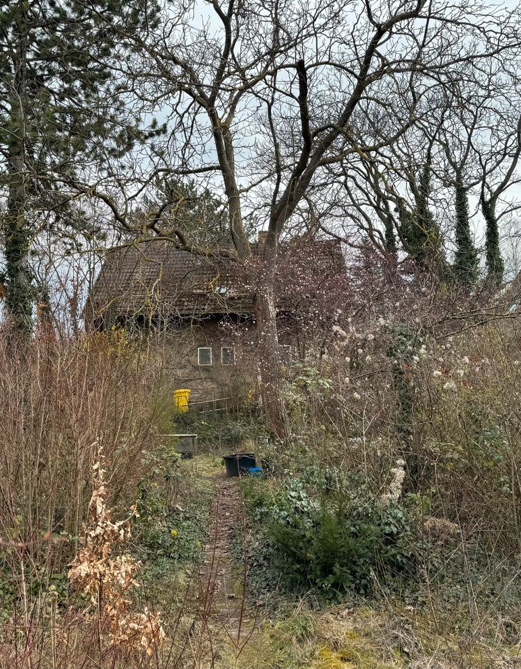 Ein- Zweifamilien Wohnhaus mit großem Garten in Alzey