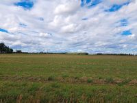 Wir suchen Landwirtschaftliche Flächen, Ackerland und Grünland Sachsen - Coswig Vorschau