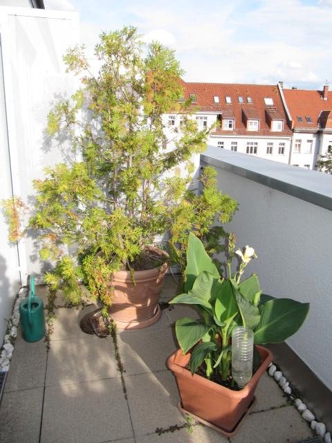 Attraktives, möbliertes Apartment mit Südbalkon, Aufzug, Tiefgaragenstellplatz in Leipzig