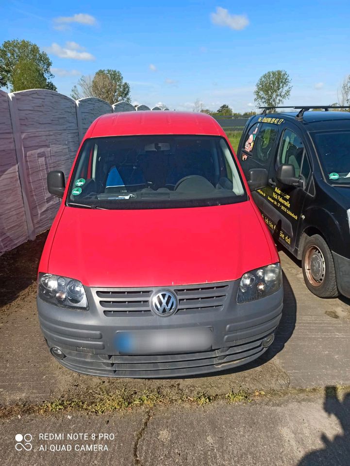 Caddy 2K Life 1.9 TDI in Schönebeck (Elbe)