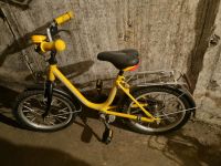 Puky 16 zoll Fahrrad Brandenburg - Nauen Vorschau