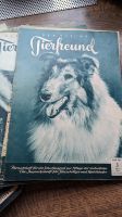 Der kleine Tierfreund Zeitschriften   von 1952 bis 1965 Nordrhein-Westfalen - Oelde Vorschau