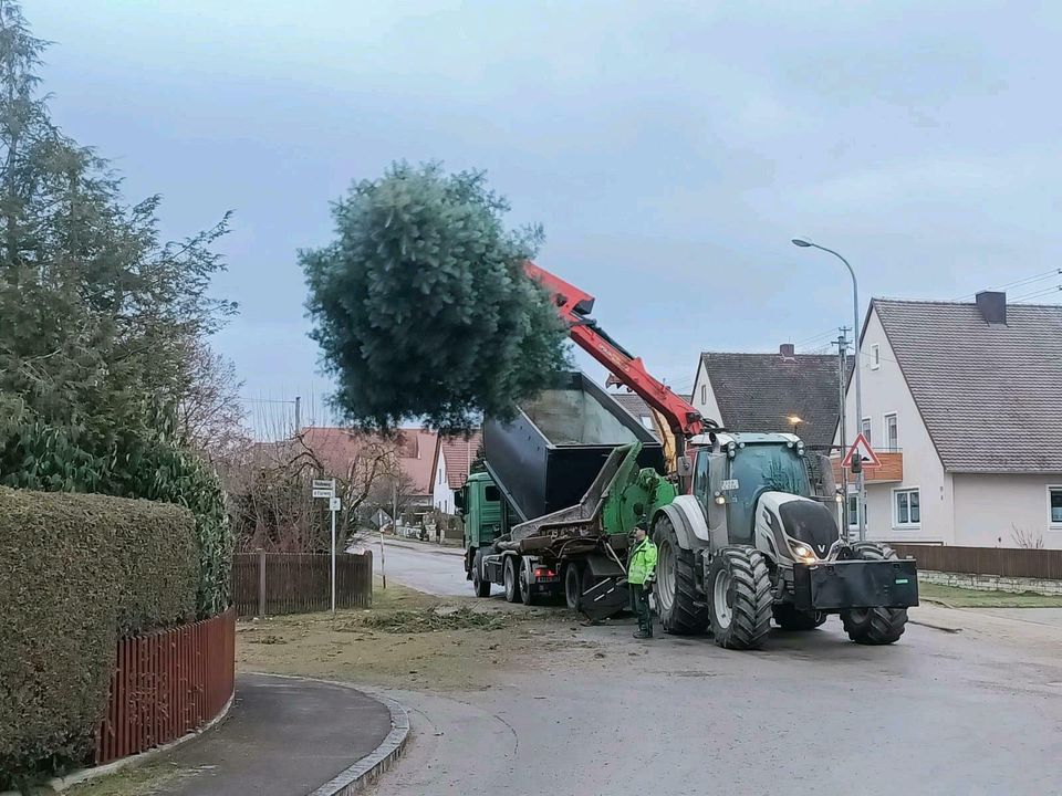 Baum- und Gartenpflege in Oettingen in Bayern