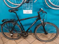 EIMSBIKE☆AB 395€ Singlespeed Herrenräder Trekkingräder Cityräder Eimsbüttel - Hamburg Eimsbüttel (Stadtteil) Vorschau