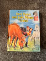 Jeanne Betancourt Drei Ponys und jede Menge Trubel Buch Nordrhein-Westfalen - Bergisch Gladbach Vorschau