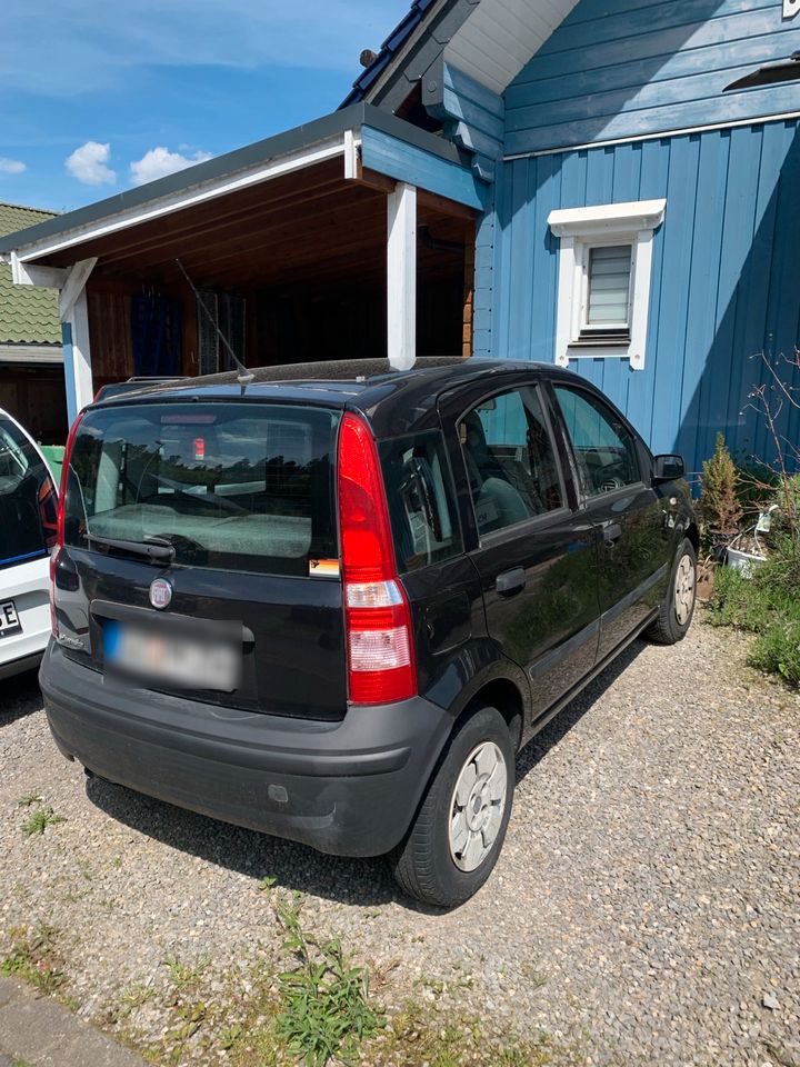 Fiat Panda 169 1.1 TÜV 2025 in Köln