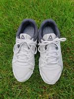 Reebok Turnschuhe mit weißer Sohle - Gr. 40,5 Bayern - Muhr am See Vorschau