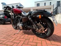 Harley Davidson Iron 883 ABS Nordrhein-Westfalen - Herne Vorschau