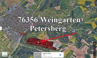 Suche kaufe (teuer!) Weinberg Grundstück in Weingarten Petersberg Baden-Württemberg - Weingarten (Baden) Vorschau