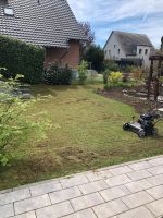 Gartenarbeit Rasenpflege/ Rasenschonend / Vertikutierarbeiten Hessen - Rodgau Vorschau