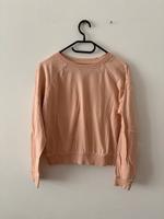Weekday Sweater peach Aprikose S Baumwolle Bayern - Augsburg Vorschau