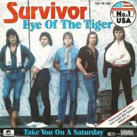 Survivor ‎– Eye Of The Tiger, Vinyl, 7", 45 RPM, Single, Stereo Nordrhein-Westfalen - Neuss Vorschau