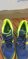 Asics  Gel Sportschuh gr44 neuwertig Nordrhein-Westfalen - Mettmann Vorschau