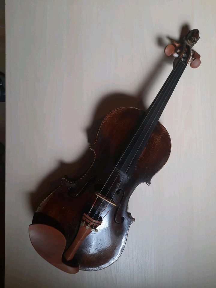 Alte Geige mit Löwenkopf in Jübek