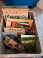 Kiste mit verschiedenen Dinobüchern als Konvolut Niedersachsen - Braunschweig Vorschau