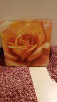 Leinwandbild Wandbild *ROSE* Blume Holzramem 45,50×45,50 cm TOP Bayern - Augsburg Vorschau