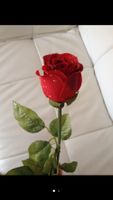 Hochwertige künstliche Rosa Regentropfen-Effekt. Baden-Württemberg - Balingen Vorschau