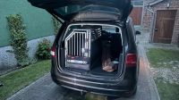 Schmidt Hundetransportbox für VW Sharan Berlin - Marzahn Vorschau