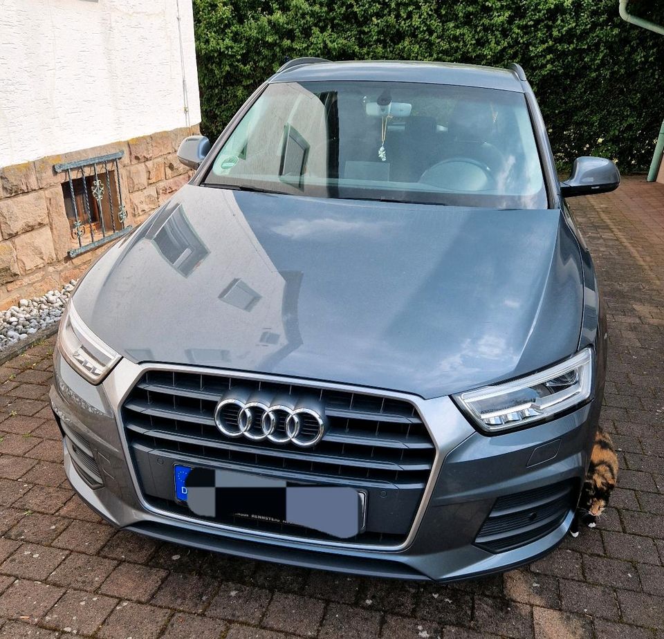 Audi Q3 TDI, voll LED in Homberg