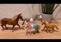 Schleich Pferde Saarland - Blieskastel Vorschau