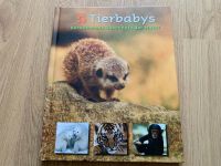 Buch Sachbuch Tierbabys Tiere Tierkinder Tierfotografie Tierfotos Wandsbek - Hamburg Sasel Vorschau