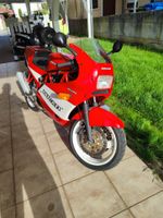 Ducati 900 Supersport (ZDM 906 SC) Hessen - Brensbach Vorschau