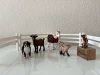 Schleich Pony und Ziegen Set mit Zubehör Brandenburg - Teltow Vorschau