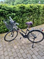 Kalkhoff Fahrrad Damen 27,5 Zoll mit Korb Licht memory Schaum Niedersachsen - Vögelsen Vorschau